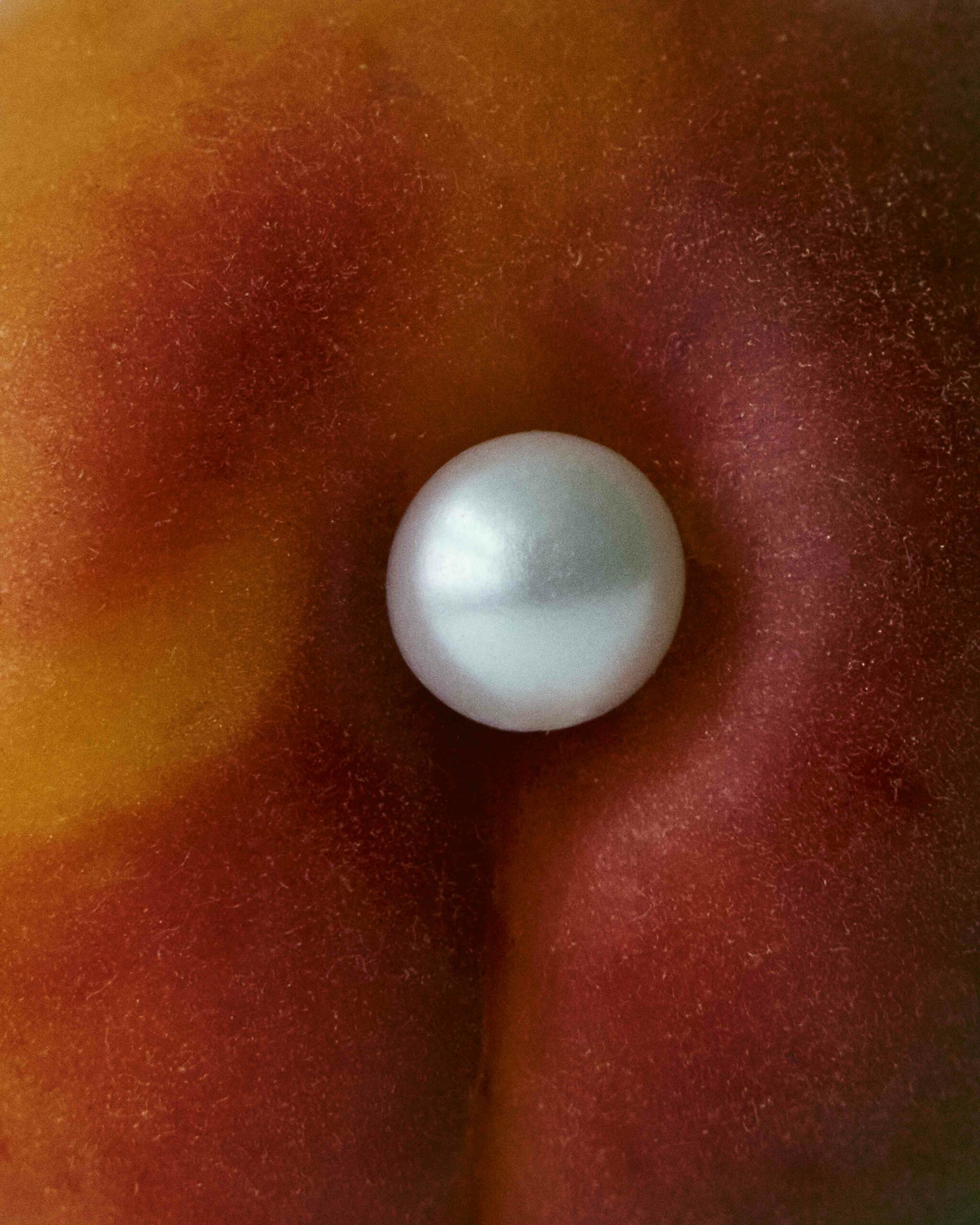 tomato-Site-02
